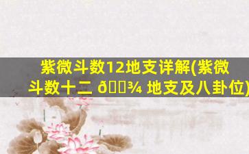 紫微斗数12地支详解(紫微斗数十二 🌾 地支及八卦位)